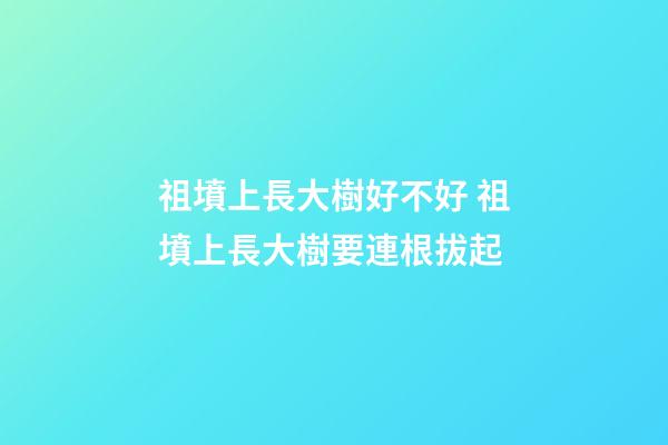 祖墳上長大樹好不好 祖墳上長大樹要連根拔起